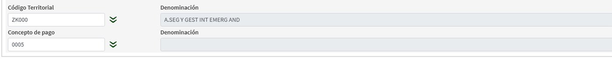 Captura del modelo 046 mostrando el error: Concepto de pago 0005 introducido pero la denominación aparece en blanco